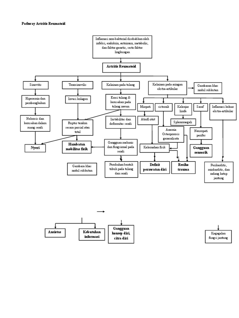 Pathway Artritis Reumatoid | PDF