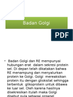 Badan Golgi