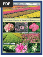 Download Deciduous Shrubs  Broadleaf Evergreens - Leo Gentry Nursery by LeoGentryNursery SN34725802 doc pdf