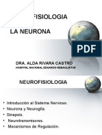 01 - Neurona y Neuroglia