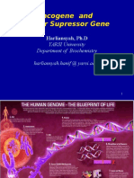Oncogene and Tumor Suppressor Gene Regulation in Cancer Pathogenesis