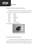 Download Deskripsi Andara Antiquata Kelompok 2 by Nurfa Tbl SN347287144 doc pdf
