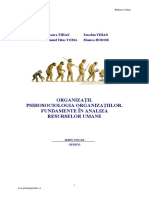 Tihan - Et.al - Organizatii - Psihologia Organizatiilor - Fundamente in Analiza Resurselor Umane PDF