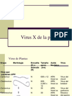 6 Virus X PDF