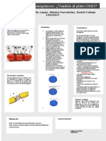 Plantillapostera3 Transgenicos