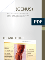 Lutut (Genus)