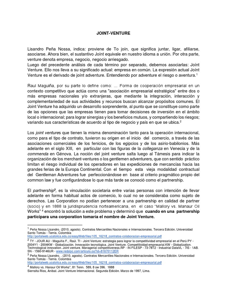 JOINT VENTURE.pdf Proyecto conjunto Business Prueba