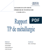 Rapport Tp Mettallurgie