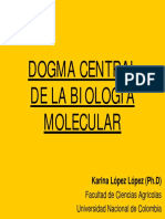 Dogma Central de La Biologia Molecular( Karina Lopez)