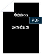 Mutaciones cromosomicas 10