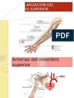 Vascularizacion Del Miembro Superior JHF