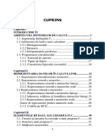 C-Ionete-Cosmin.pdf