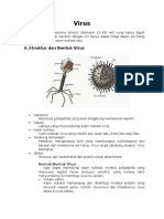 STRUKTUR DAN REPRODUKSI VIRUS