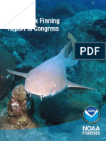 Shark Finning Report 2015