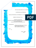 Derecho Procesal Civil II