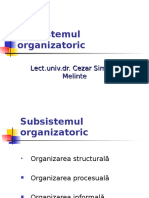 Subsistemul organizatoric