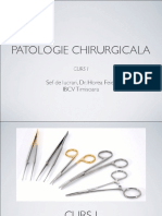 Curs I Asistente PDF