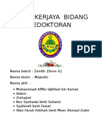 Folio Kerjaya 2