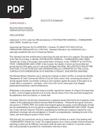 Download Rogue Sabre 1 Update - Executive Summary by enerchi1111 SN347353864 doc pdf