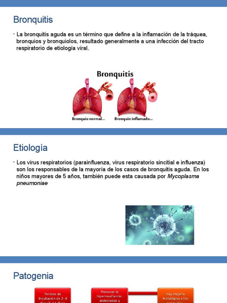 Bronquitis Y Bronquiolitis Final Bronquitis Enfermedades Respiratorias
