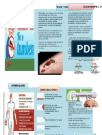 El Virus Del Zika Triptico Final1