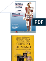 A Cuerpo Humano