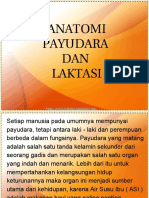 ANATOMI PAYUDARA DAN LAKTASI.ppt