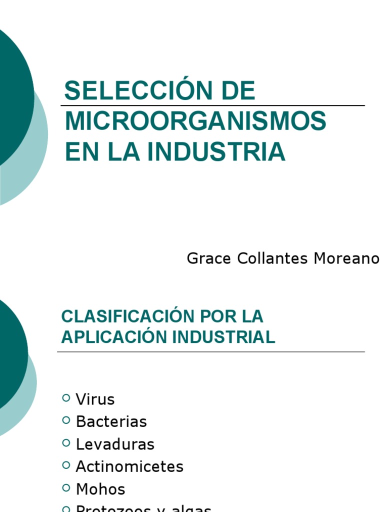 Microorganismos en la Industria | PDF | Microorganismo | Las bacterias