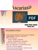 Ascaris y Toxocara