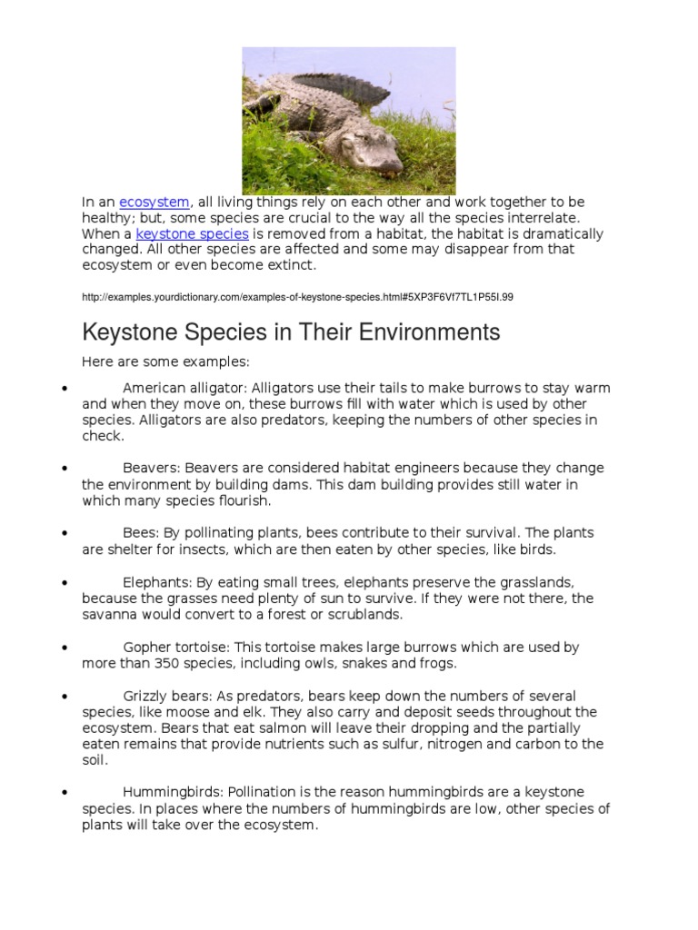 list of keystone species | Ecology | Systems Ecology
