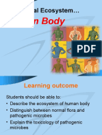 Topic 7 - Human Body Ecosystem