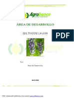 4_cultivo_de_la_uva (agrobanco_2008).pdf