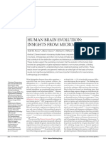 Humanbrainevolution Preuss PDF