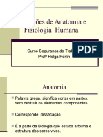 Noções de Anatomia e Fisiologia Humana.ppt
