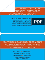 Adaptacion Celular Del Crecimiento y La Diferenciacion