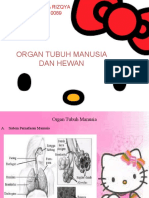 Organ Tubuh Manusia Dan Hewan