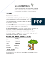 La Deforestación Ficha