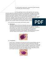 Hasil Seri Granulosit