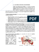 los sentidos y percepción.pdf