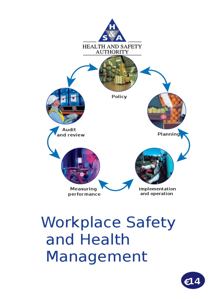 Workplace Safety and Health Management PDF Safety Occupational