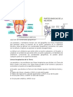 Partes de La Lengua