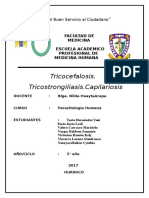 Tricocefalosis Tricostrongiliasis Capilariosis