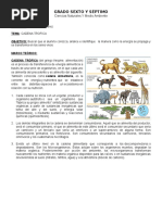 Ciencias Naturales Sexto y Septimo