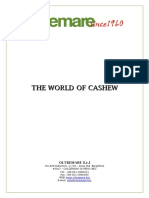 World of Cashew Intero October 2016 PDF