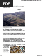 Da Cachaça Ao Caldo de Cana _ Universo Agro