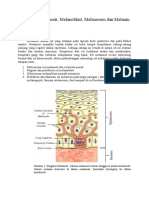 Perbedaan Melanosit