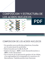 Composicion y Estructura de 