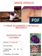 Accidente Ofidico, Picaduras, Mordeduras y Arañazos