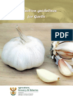 Production Guide - Garlic