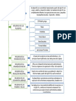 Historia de La Administración